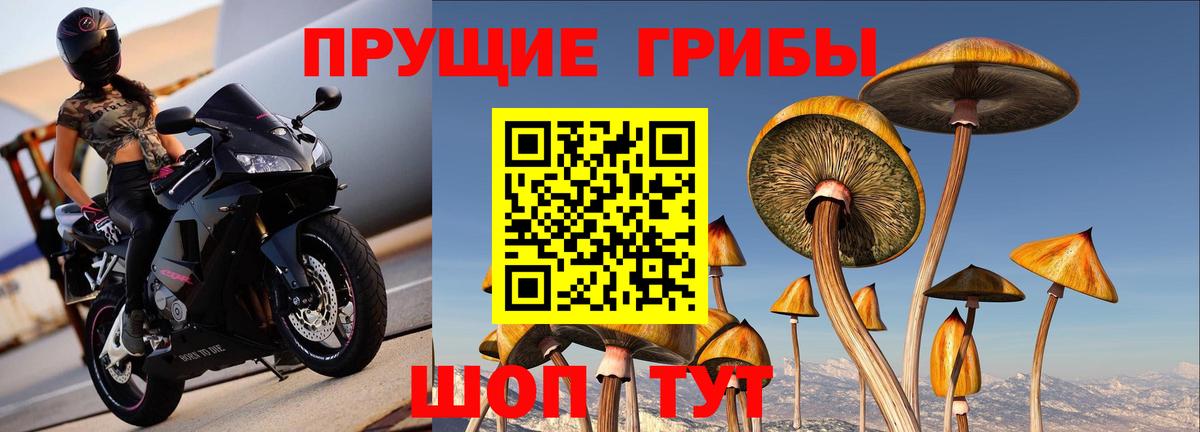 Псилоцибиновые грибы Psilocybine cubensis  Галлюциногенные грибы прущие грибы  Вход с VPN  Россошь 