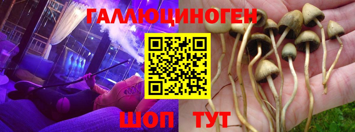 Галлюциногенные грибы мухоморы Россошь